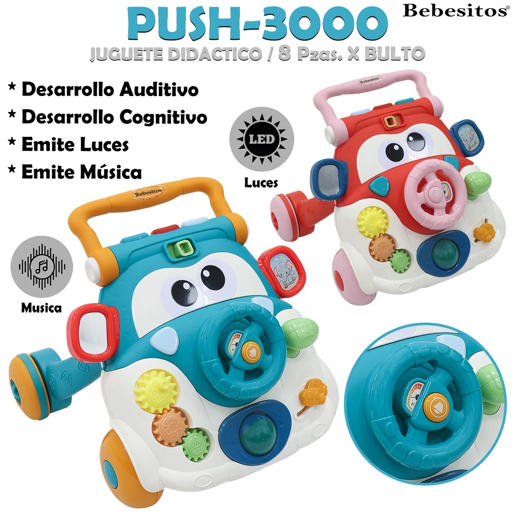 PUSH-3000 JUGUETE DIDACTICO