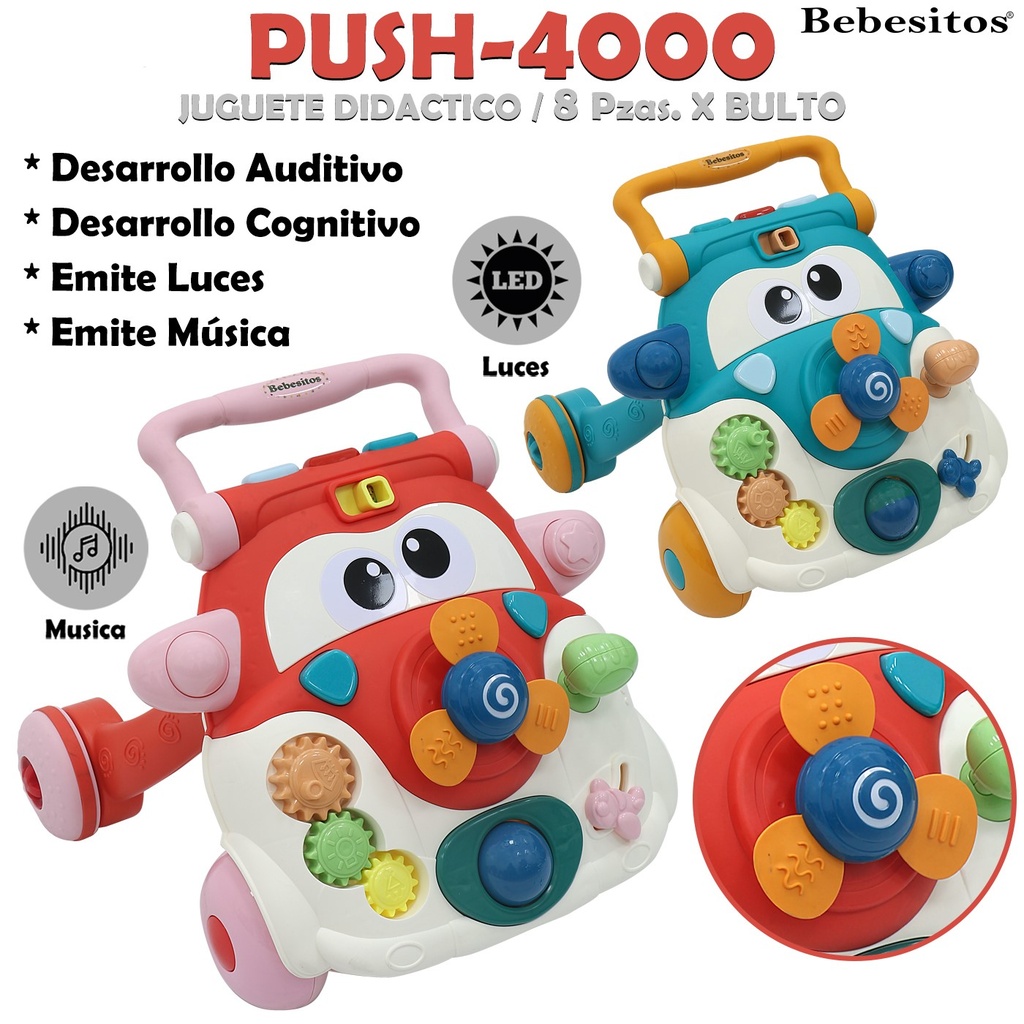 PUSH-4000 JUGUETE DIDACTICO
